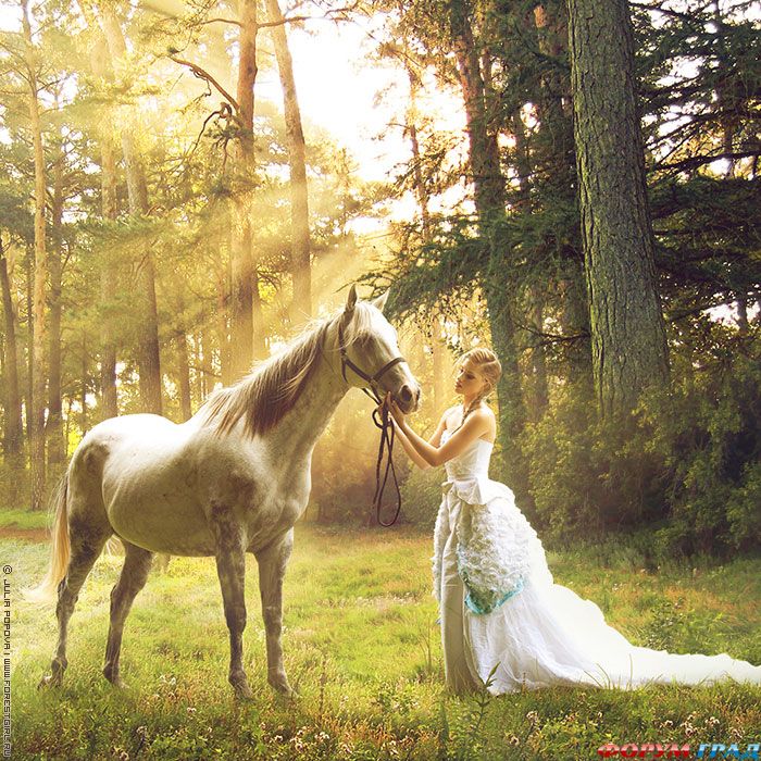 4278666_weddingpropshorse01 (700x700, 158Kb)