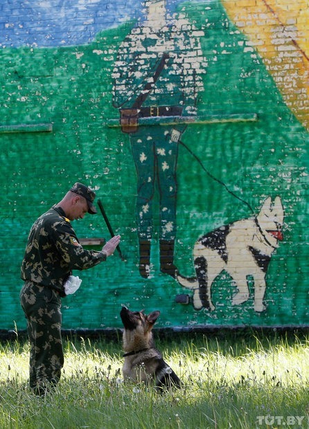 Фотографии о том, как щенки становятся защитниками границы