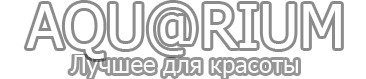 4208855_logo (366x79, 10Kb)