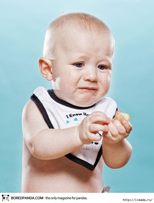 toddlers-tasting-lemon-april-maciborka-david-wile-2 (531x700, 173Kb)