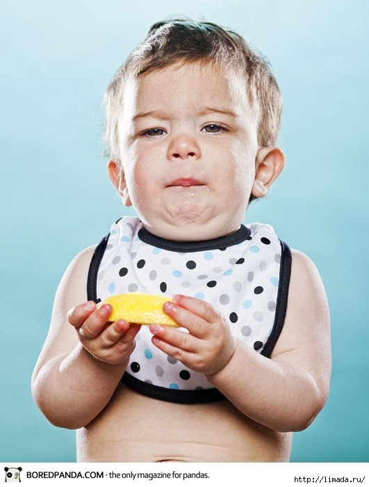 toddlers-tasting-lemon-april-maciborka-david-wile-12 (531x700, 197Kb)