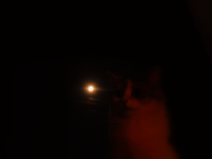 DSCN7760 (700x525, 23Kb)