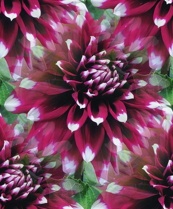 1 (208) (350x422, 144Kb)