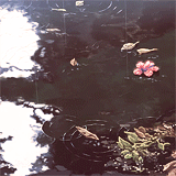 3 (160x160, 449Kb)