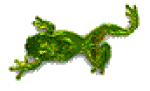 grenouille_243 (150x91, 60Kb)