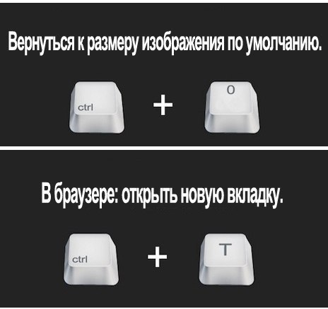 5 (464x437, 51Kb)