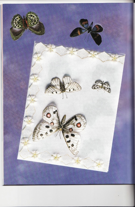 pergamano vlinders_0027 (457x700, 240Kb)