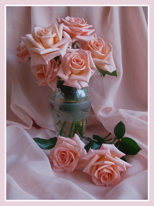 Натюрморты Розовые розы 0_23301_aa2d052a_XL (525x700, 75Kb)