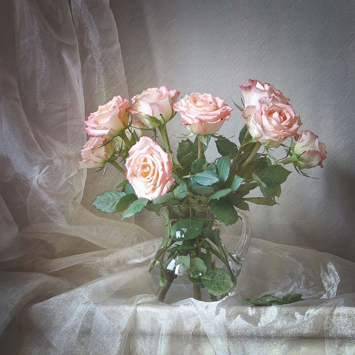Натюрморты Розовые розы 0_4a642_8a36d3b7_XL (700x699, 154Kb)