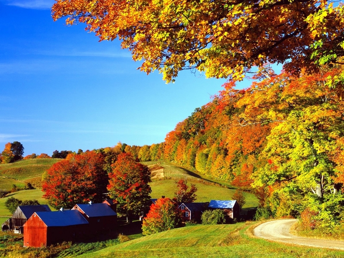 Woodstock in Autumn, Vermont (700x525, 390Kb)