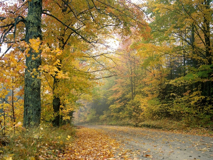 Crisp Autumn Afternoon, Vermont (700x525, 411Kb)