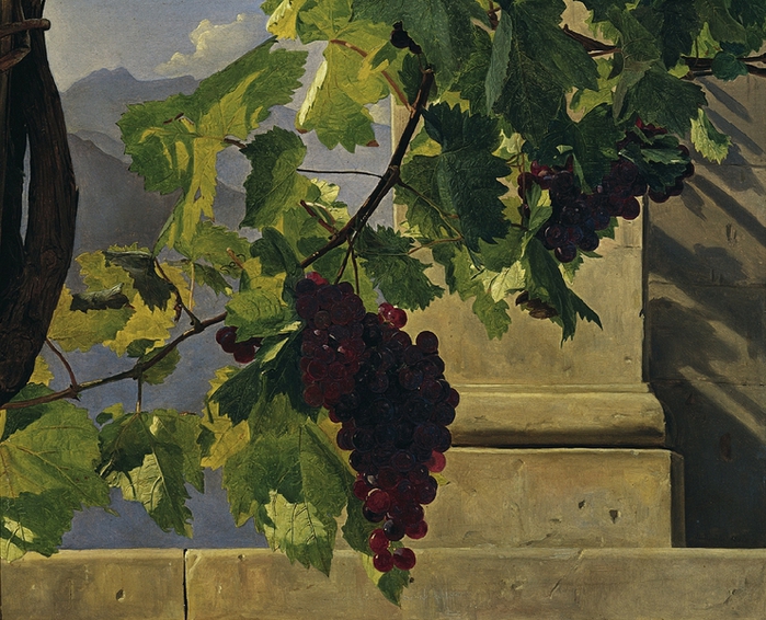 Виноград, 1841 (700x566, 355Kb)