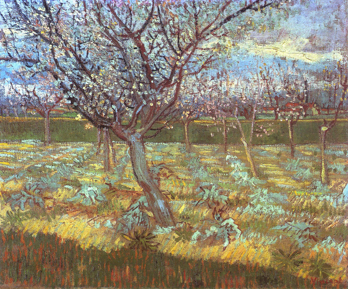 Apricot Tree in Bloom, 1888 (700x582, 287Kb)