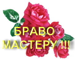 http://img1.liveinternet.ru/images/attach/b/4/104/653/104653095_bravo_masteru_2.jpg