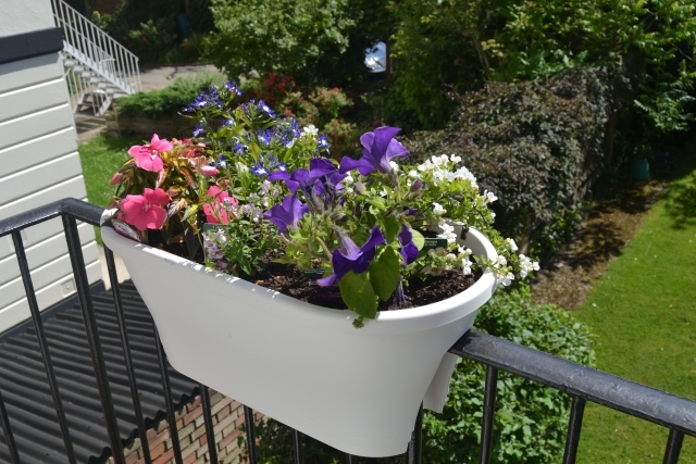 auswahl-balkonpflanzen-balkongelaender-verschiedene-farben (640x427, 257Kb)