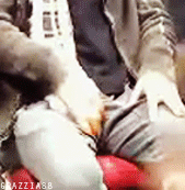 tumblr_lkjhr6QqEj1qc77h9o1_250 (169x173, 346Kb)