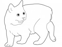 Cats_coloring_pages_Manx (200x150, 17Kb)
