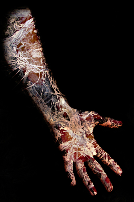 OysteinStureAspelund02 (466x700, 210Kb)