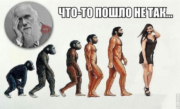 4248238_13 (599x362, 47Kb)