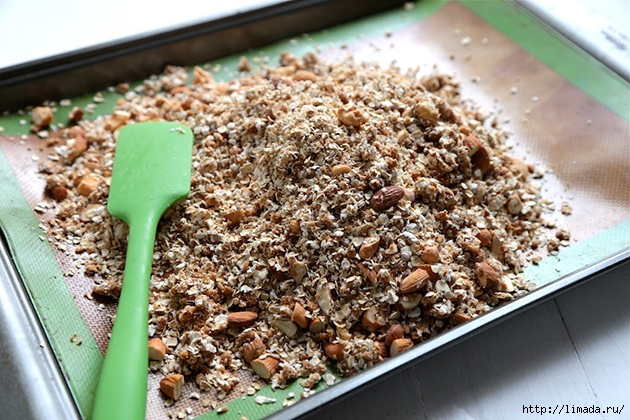 Tasty-Kitchen-Blog-Cookie-Butter-Granola-07 (630x420, 278Kb)