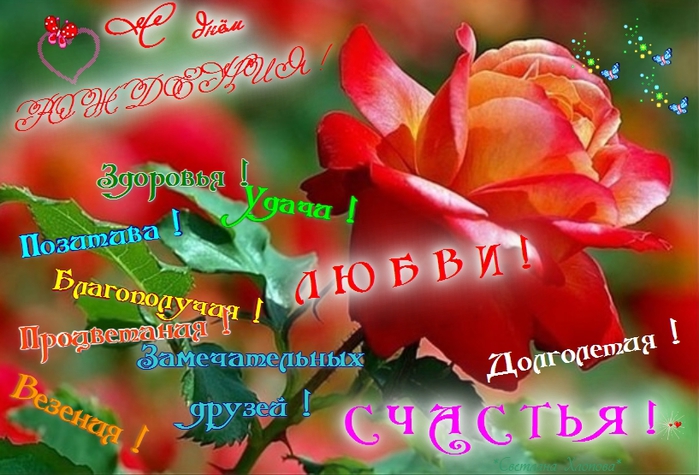 Поздравления С Днем Рождения Светлана Анатольевна
