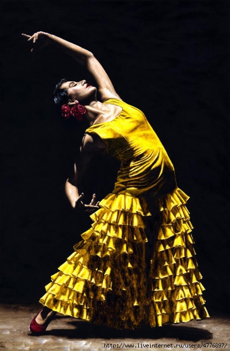 Un momento intenso del flamenco (459x700, 196Kb)