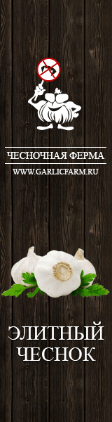 3 (160x600, 179Kb)