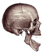  (150x182, 40Kb)