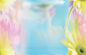 1204511114_image_12a (170x108, 35Kb)