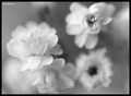  (120x88, 3Kb)