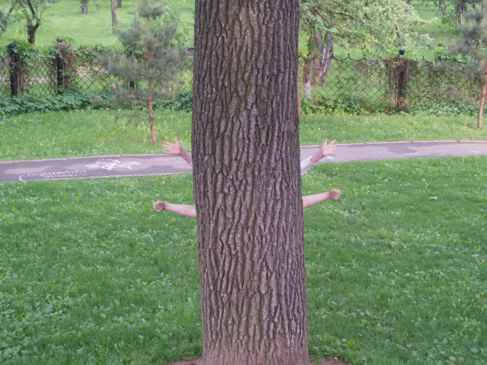  (700x525, 166Kb)