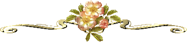 disani3 (365x82, 13Kb)