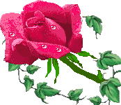 b1a3b4e99bd612b7ad92ee9165002923 (174x150, 8Kb)