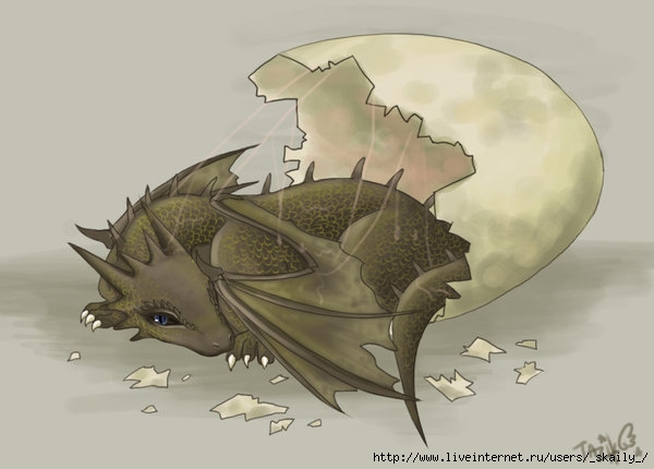 13239395_4881242_Newly_Hatched_Dragon_request_by_victortky (600x430, 92Kb)