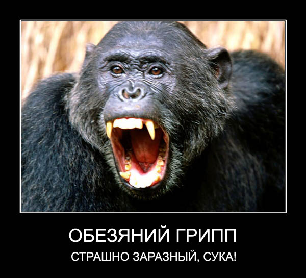 Обезьяний грипп, Козий грипп, Свиной грипп, Птичий Грипп