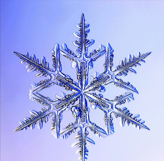  (528x518, 193Kb)