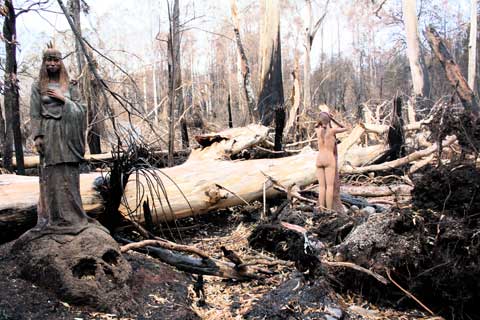 сгоревший лес