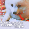  (100x100, 21Kb)