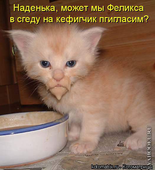 http://img1.liveinternet.ru/images/attach/c/0//53/677/53677918_1262962280_kotomatrix_068.jpg