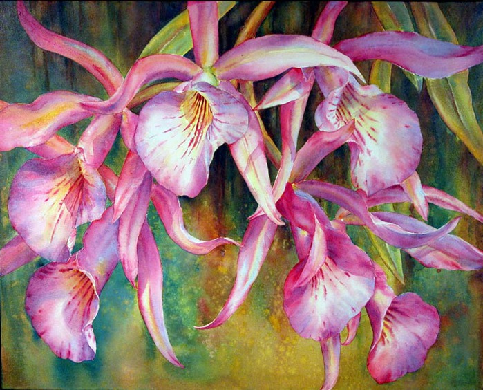 Художник Marianne Broome/Акварельные цветы (699x564, 149Kb)