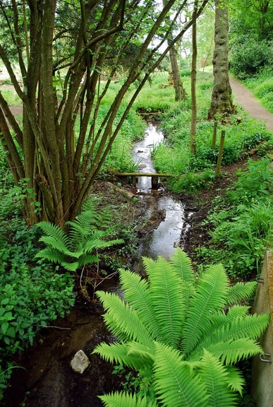 Ightham Mote- Kent 31032