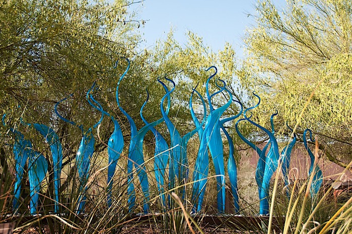 Стеклянные скульптуры Дейла Чихули в пустыне Феникс, Аризона 20955
