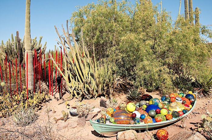 Стеклянные скульптуры Дейла Чихули в пустыне Феникс, Аризона 96545