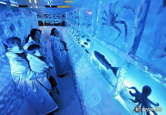 Ледяной аквариум «Kori no Suizokukan»