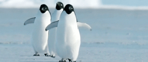 penguin_animated_cm_20120121_00144_005 (500x211, 564Kb)