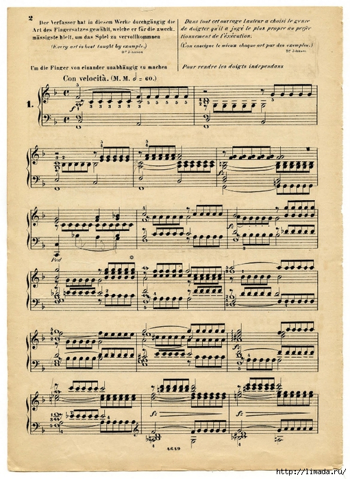 musicsheet-graphicsfairy005sm (511x700, 365Kb)