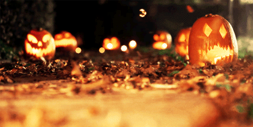 tumblr_nd8xzrN99W1ssqam8o1_500 (500x251, 1884Kb)