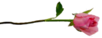 4698066_88547643_88249369_4457709_79__kopiya_1__3_ (200x75, 12Kb)