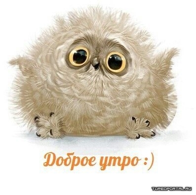 http://img1.liveinternet.ru/images/attach/c/0/117/995/117995867_1371868475_dobroeutro.jpg