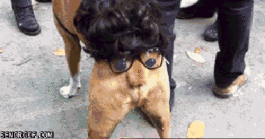 118132425_v1__30_.gif